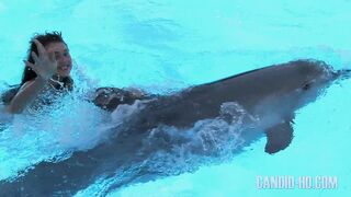 Candid-HD Amazing Dolphin Encounter Part 1 voyeur jp 170526